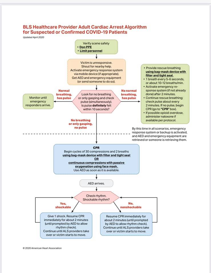 健康・医学 BLS 2020 BLS Adult Cardiac Arrest COVID-19 Resuscitation Algorithm